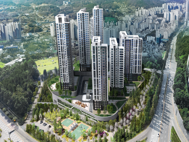 홍골 아르보레 전경