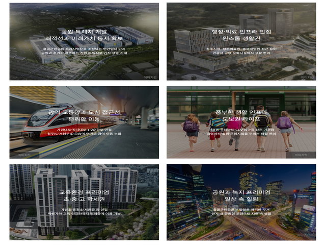 홍골 아르보레 프리미엄